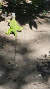 Allow me to lead the way.