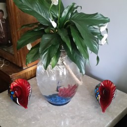 Tis the décor you will love!!!!!!